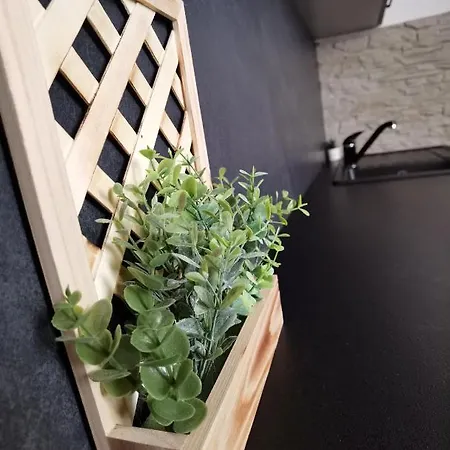 Apartament Kotaranka *
